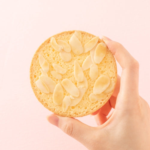 鎌倉紅谷の受注販売会「気になる福袋2025」あじさい